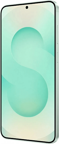 Samsung Galaxy S25 12/256Gb Mint