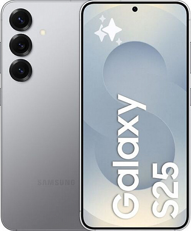 Samsung Galaxy S25 12/128Gb Silver Shadow