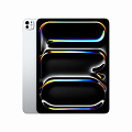 iPad Pro 13 M5 512 Gb